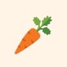 Best Quality Fresh Vegetable Supplier in India - Yadnya Group