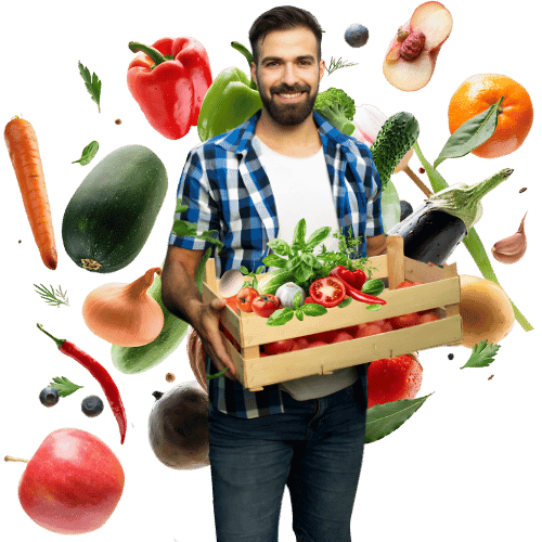 Eggs, Fruits and Vegetable Bulk Supplier in Maharashtra