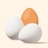 Eggs Supplier