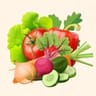 Vegetables Supplier